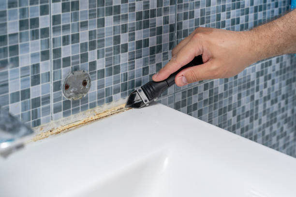 Best Insurance-Related Mold Remediation in Salina, OK