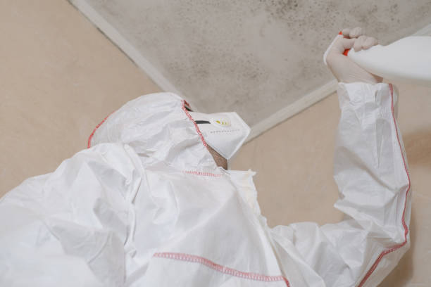 Professional Mold Remediation in Salina, OK