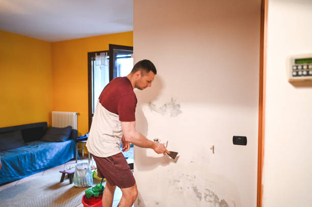 Best Localized Mold Remediation (e.g., coastal areas, humid climates) in Salina, OK